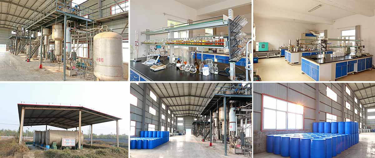 Hebei Sancolo Chemical Co., Ltd.