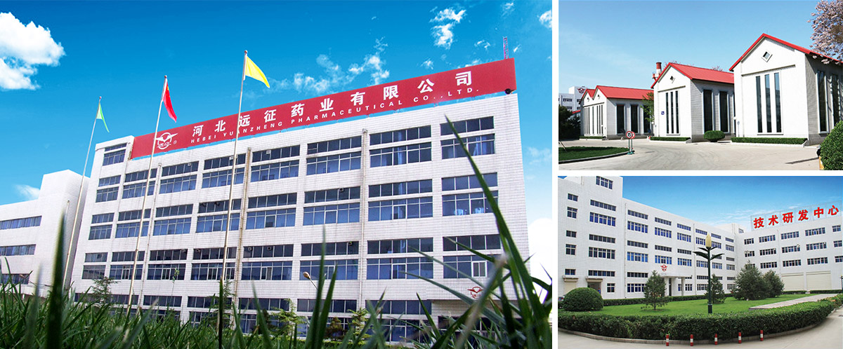 Hebei Yuanzheng Pharmaceutical Co., Ltd.